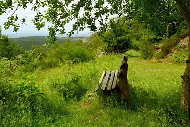 梅西又一次 梅西又一次