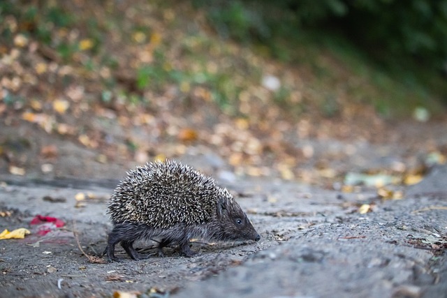 通过拒绝媒 通过拒绝媒