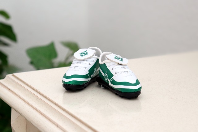 杨瀚森的风 杨瀚森的风