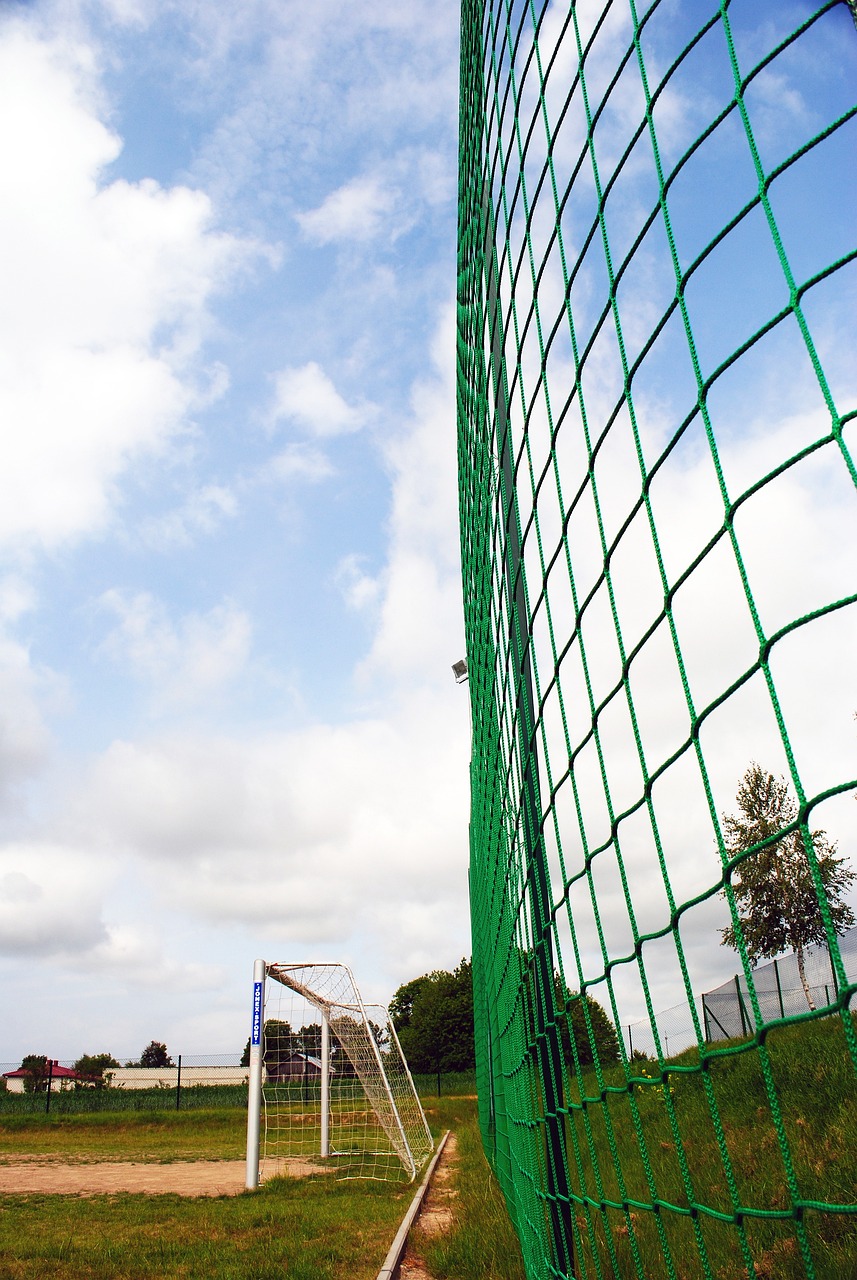 提高竞技水 提高竞技水