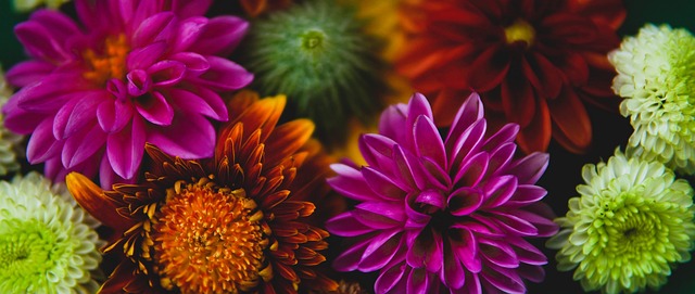 更加悬念迭 更加悬念迭