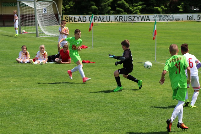 之间的纽带 之间的纽带