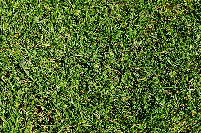 依靠某一种 依靠某一种
