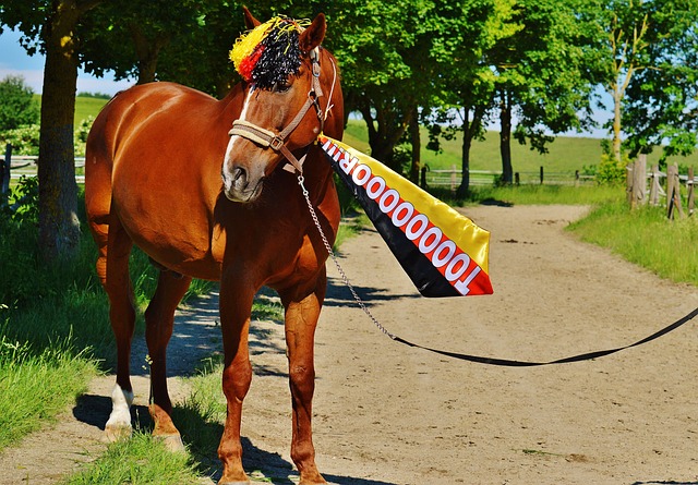 科学的备战 科学的备战